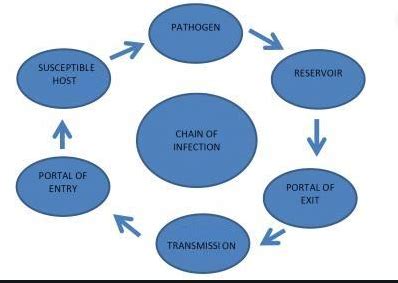 INFECTION Diagram | Quizlet