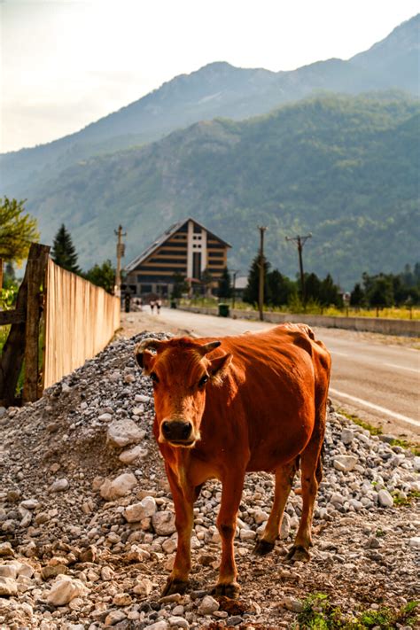 A Hiker's Guide to the Albanian Alps: Trails, Planning, Itineraries, + - The Holistic Backpacker