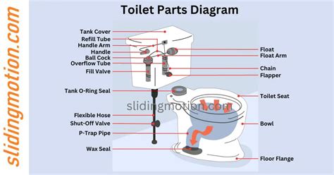 Comprehensive Guide on 30 Toilet Parts: Names & Diagram