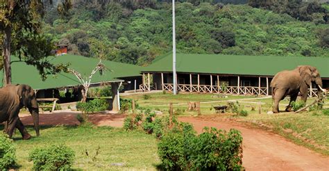 Ngorongoro Rhino Lodge | Accommodation Tanzania