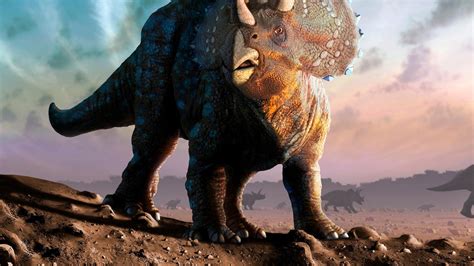 Triceratops horridus, facts and photos