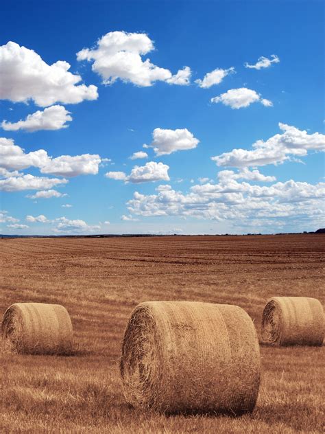 Hay Field Wallpapers - Top Free Hay Field Backgrounds - WallpaperAccess