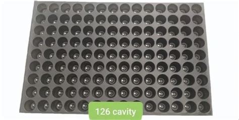 Manual Seeder Plastic Seedling Trays, 3 mm, 500x300mm at Rs 20/piece in Surat