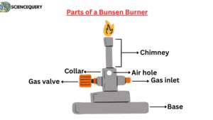 Bunsen burner: definition and its parts with function - Science Query