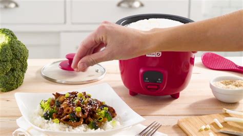 DASH 2 Cup Mini Rice Cooker with 14 Recipes - YouTube