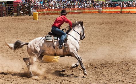 Barrel racing at Rodeo – License image – 71383273 lookphotos