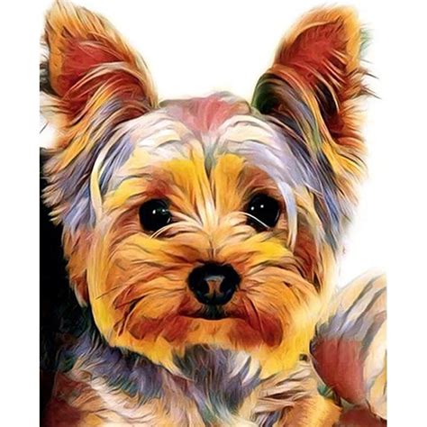 Cute Yorkie