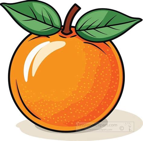 Orange Fruit Clip Art Vector Images Illustrations Ist - vrogue.co