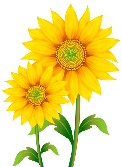 Yellow Bell Flower Clipart_ | Free download on ClipArtMag