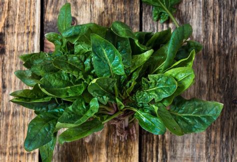 What Are the Effects of Too Much Spinach? | livestrong