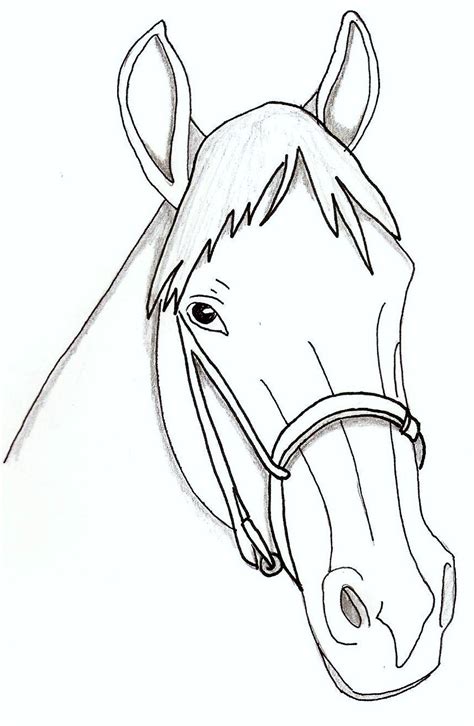 Realistic Horse Head Drawing at GetDrawings | Free download