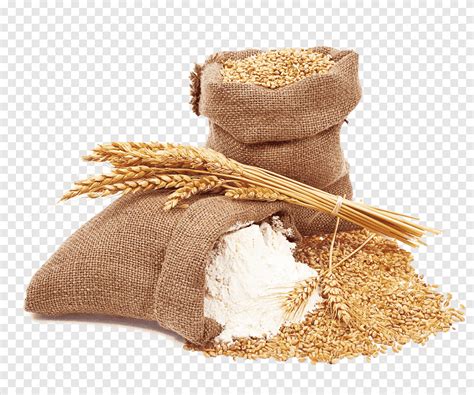 Wheat, grains, wheat png | PNGEgg