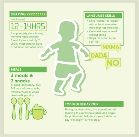 8+ Sample Baby Milestones Charts | Sample Templates