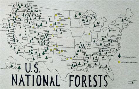 Navigating Nature’s Treasures: A Comprehensive Guide To National Parks And Forests Maps ...