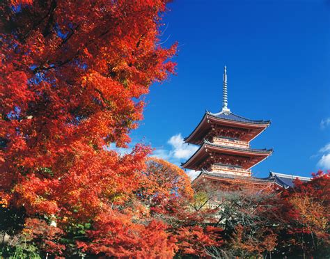 Kiyomizu-dera Temple Autumn View, Pictures of Kiyomizu-dera Kyoto ...