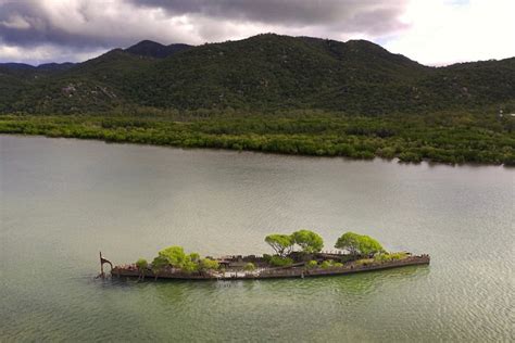 100-Year-Old Shipwreck in Australia Overgrown by Mangroves