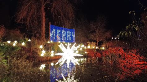 Sir Harold Hillier Gardens opens after dark for Light Up trail | Daily Echo