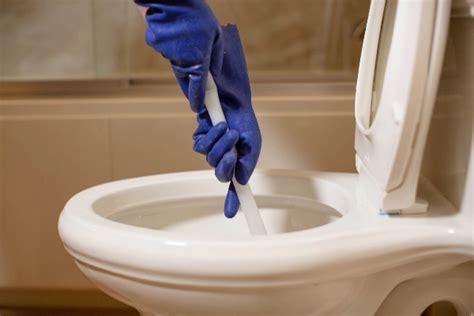 4 Ways to Unclog a Toilet That Won't Drain