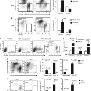 Analysis of three distinct subpopulations of CD11bhi dendritic cells... | Download Scientific ...