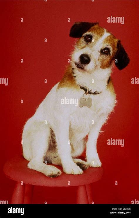 EDDIE THE DOG, FRASIER, 1993 Stock Photo - Alamy