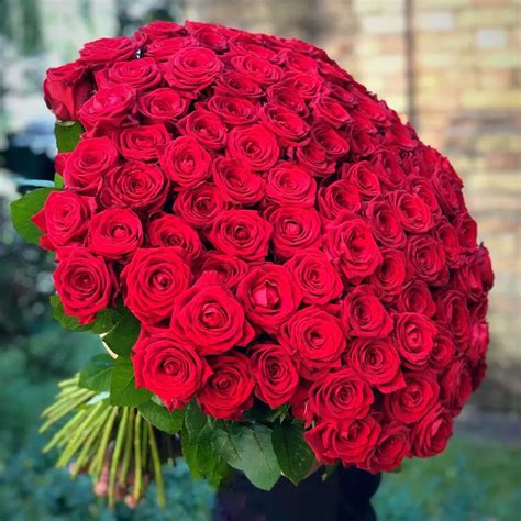 Red Rose Flower Bouquets Pictures | Best Flower Site