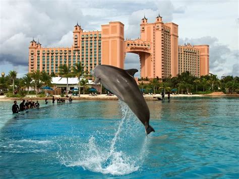 Dolphin Cay - Atlantis Resort - Bahamas | Atlantis resort bahamas ...