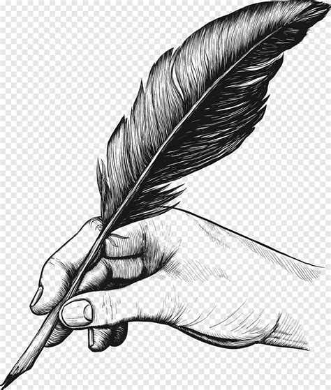 Feather Quill Drawing