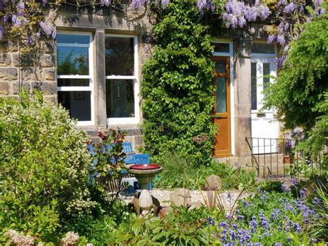 Terraced garden stock image. Image of beautiful, secluded - 10459209