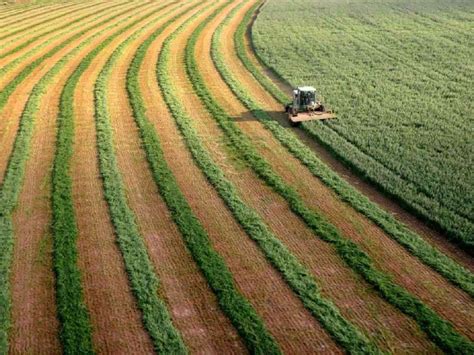 Agriculture In Israel