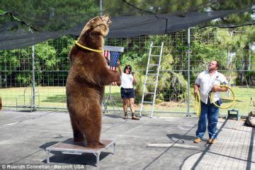 The Florida Family and Their Bears – News