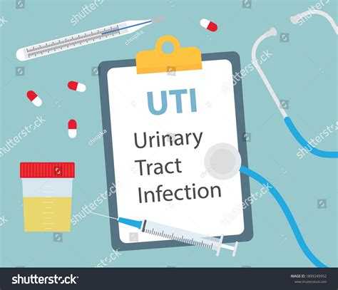 Uti Urinary Tract Infection Medical Concept: เวกเตอร์สต็อก (ปลอดค่า ...