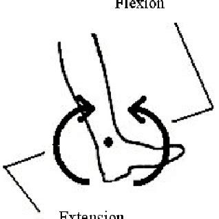 Internal and external rotation of the ankle. | Download Scientific Diagram