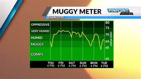 High humidity bringing temperatures that feel near 100 degrees