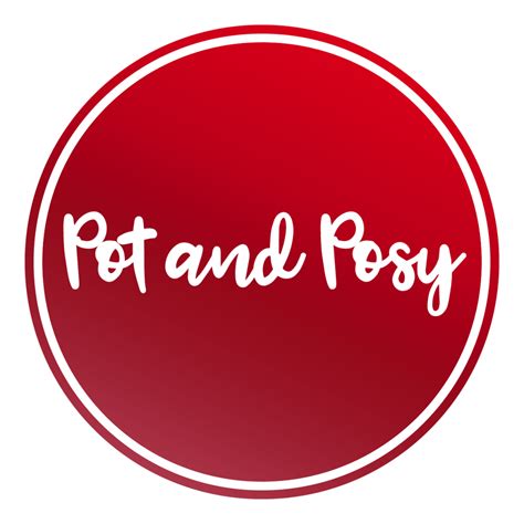 Pot and Posy | Same Day Flowers Plants & Gifts