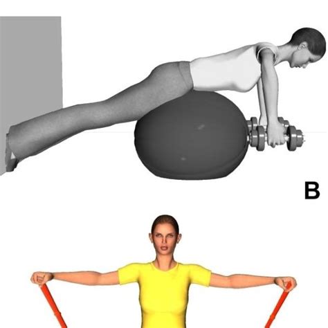 Example of paraspinal, neck and shoulder girdle muscle-strengthening ...