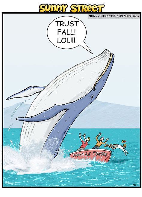 Some whales are not to be trusted. | Funny animal memes, Trust fall, Funny pictures