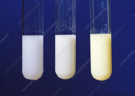 Silver compounds - Stock Image A500/0289 - Science Photo Library