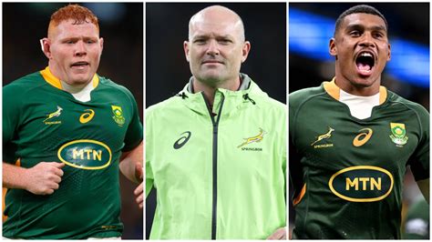 Rugby Championship preview: Springboks set to challenge for honours ...