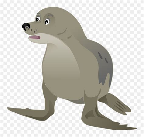 Seal Clipart Ocean - Gambar Anjing Laut Kartun - Free Transparent PNG ...