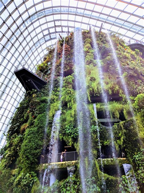 Cloud Forest waterfall in Gardens by the Bay Singapore. This dome has ...