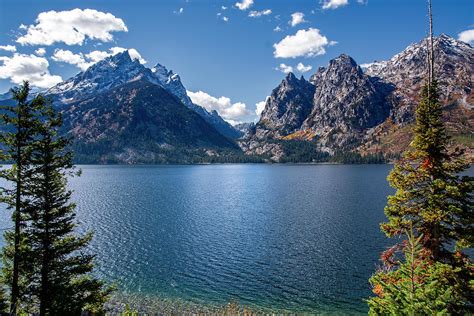 Jenny Lake Photograph by Scott Read