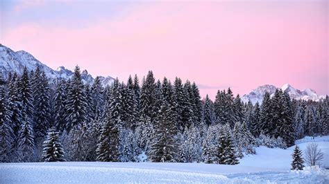 Mountains Trees Pink Snow 4K HD Wallpapers | HD Wallpapers | ID #32190