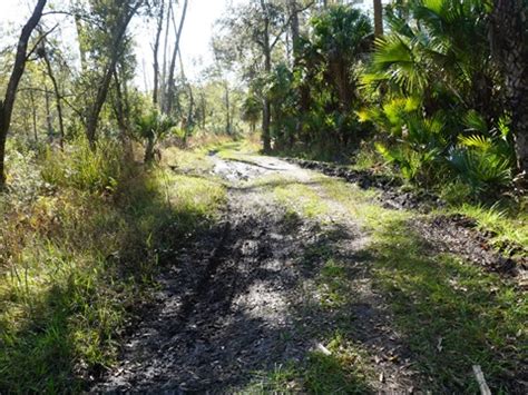 Wekiva Springs State Park, FL. Bike, Hike. E-Z Map, Photos.