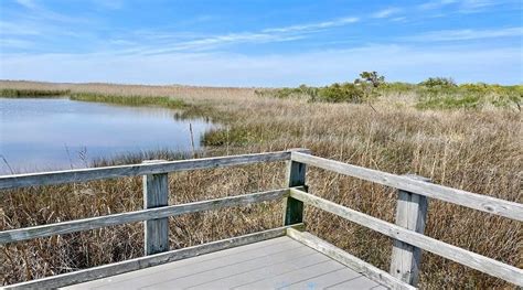 Back Bay NWR: Hike 4 Coastal Trails in Virginia Beach