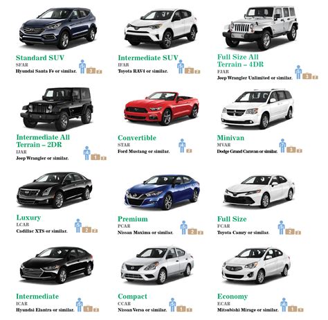 Car Rentals