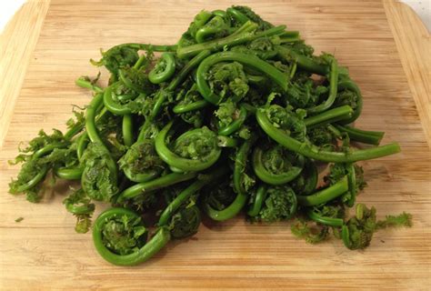 Fiddlehead ferns - LOVE-the secret ingredient