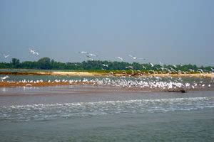 chilika-lake-odisha - Travel Holidays India