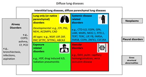 çığlık ilik Sekiz diffuse parenchymal lung disease kedi yavrusu merchandiser Üniversite