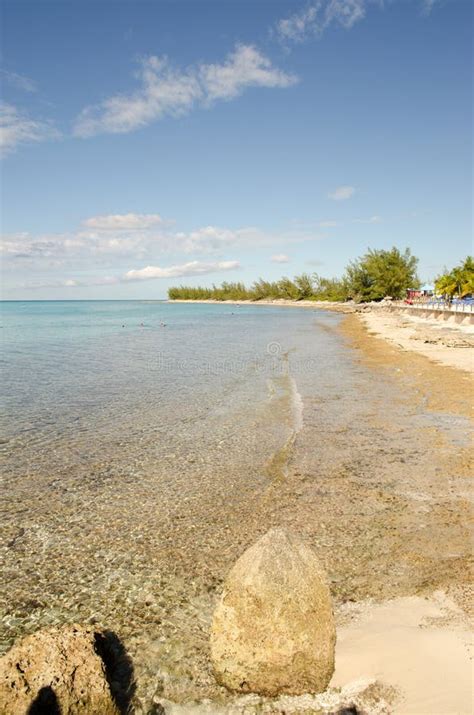 Beach Plants ! Washington State Stock Photo - Image of walking, ocean ...