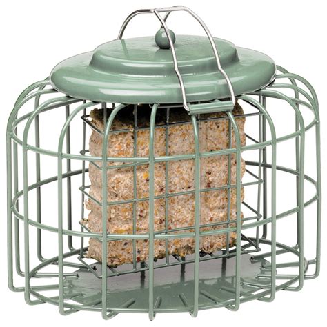 The Nuttery Oval Suet-Cake Squirrel Resistant Bird Feeder, Ocean Green - Walmart.com